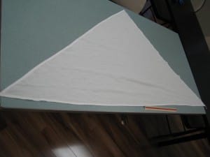 First Aid Essentials - Triangle Bandage